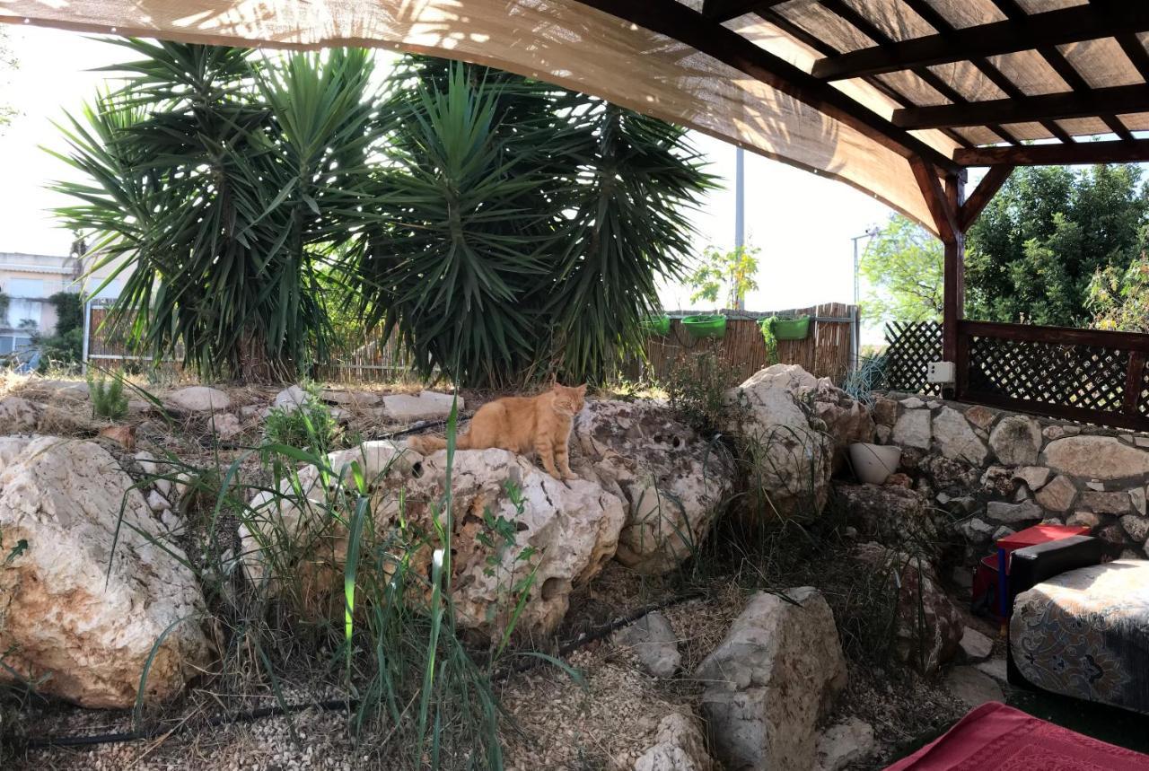 Panorama Kinneret נוף כנרת, צפת Exterior photo